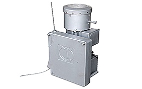 LTD系列提升機(jī)